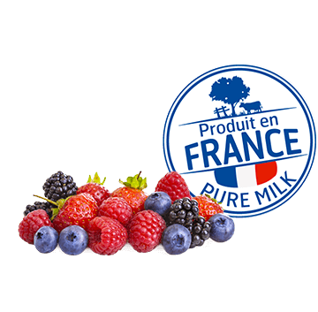 Elle & Vire Dairy Desserts Elle & Vire Dairy Desserts